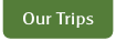 Our Trips.